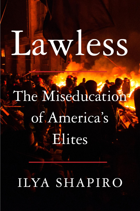 Buch Law & Disorder SHAPIRO ILYA