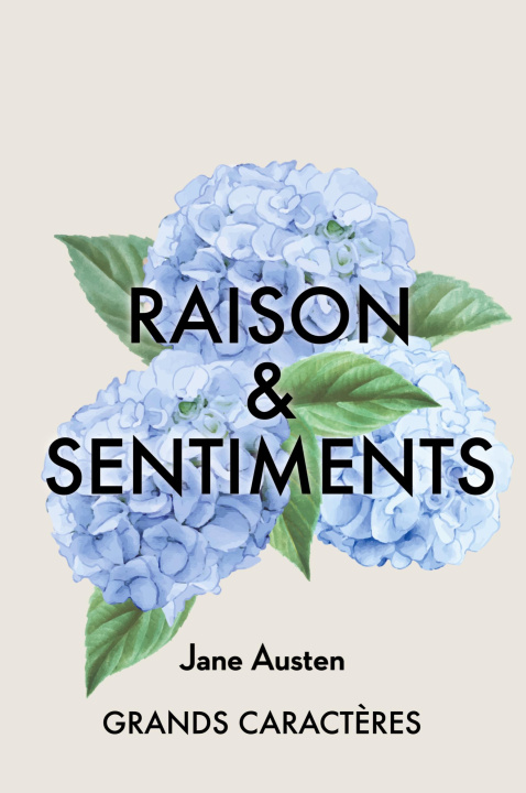Knjiga Raison et Sentiments Pomme Decroix