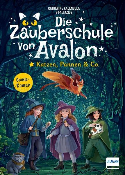 Książka Die Zauberschule von Avalon - Katzen, Pannen & Co. Faltazius