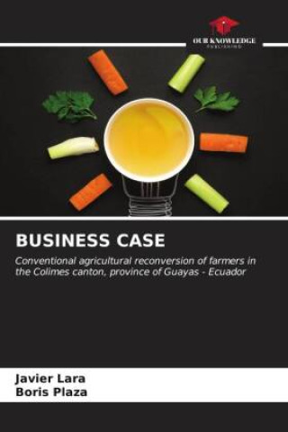 Libro BUSINESS CASE Boris Plaza