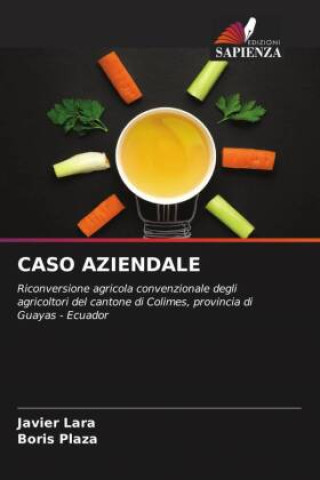 Knjiga CASO AZIENDALE Boris Plaza