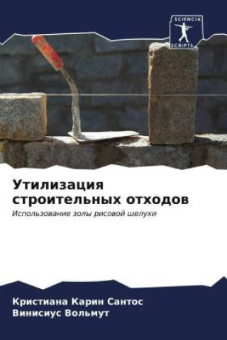 Knjiga Utilizaciq stroitel'nyh othodow Vinisius Vol'mut