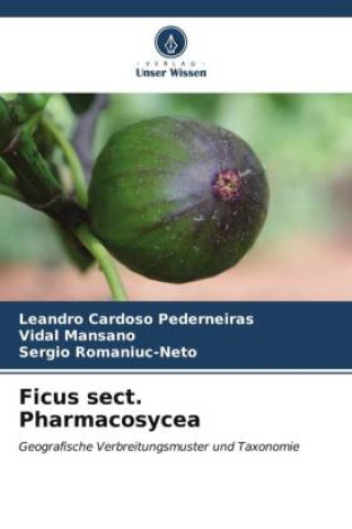 Kniha Ficus sect. Pharmacosycea Vidal Mansano