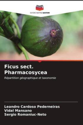 Kniha Ficus sect. Pharmacosycea Vidal Mansano