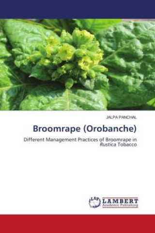 Libro Broomrape (Orobanche) JALPA PANCHAL