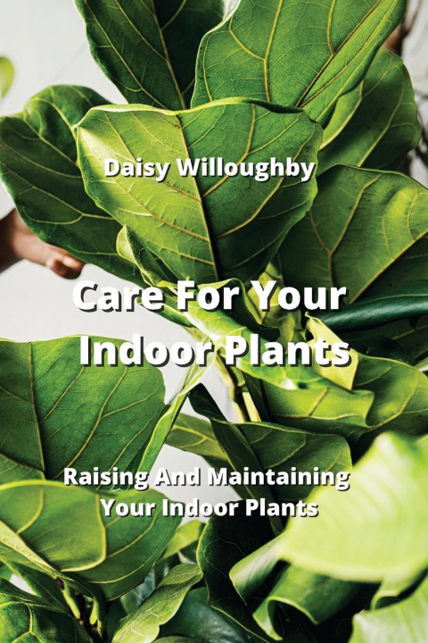 Carte Care For Your Indoor  Plants 