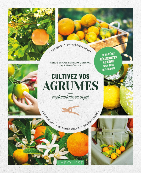 Knjiga Cultivez vos agrumes Serge Schall