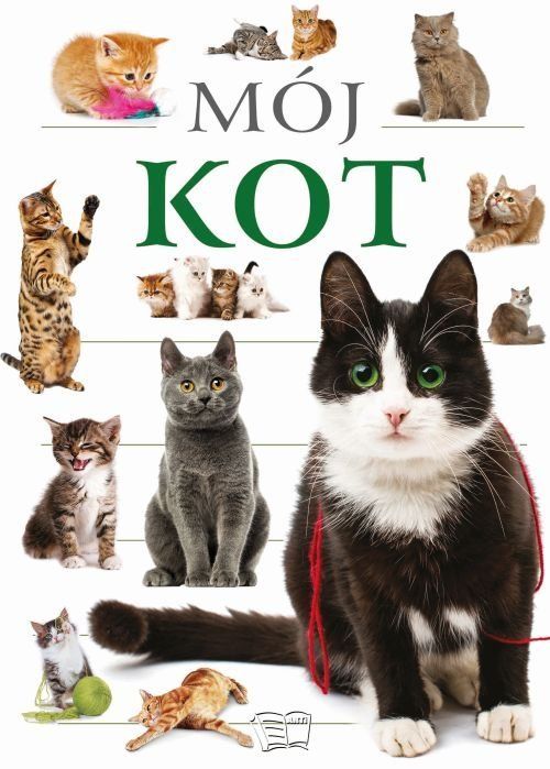 Knjiga Mój kot Opracowanie zbiorowe