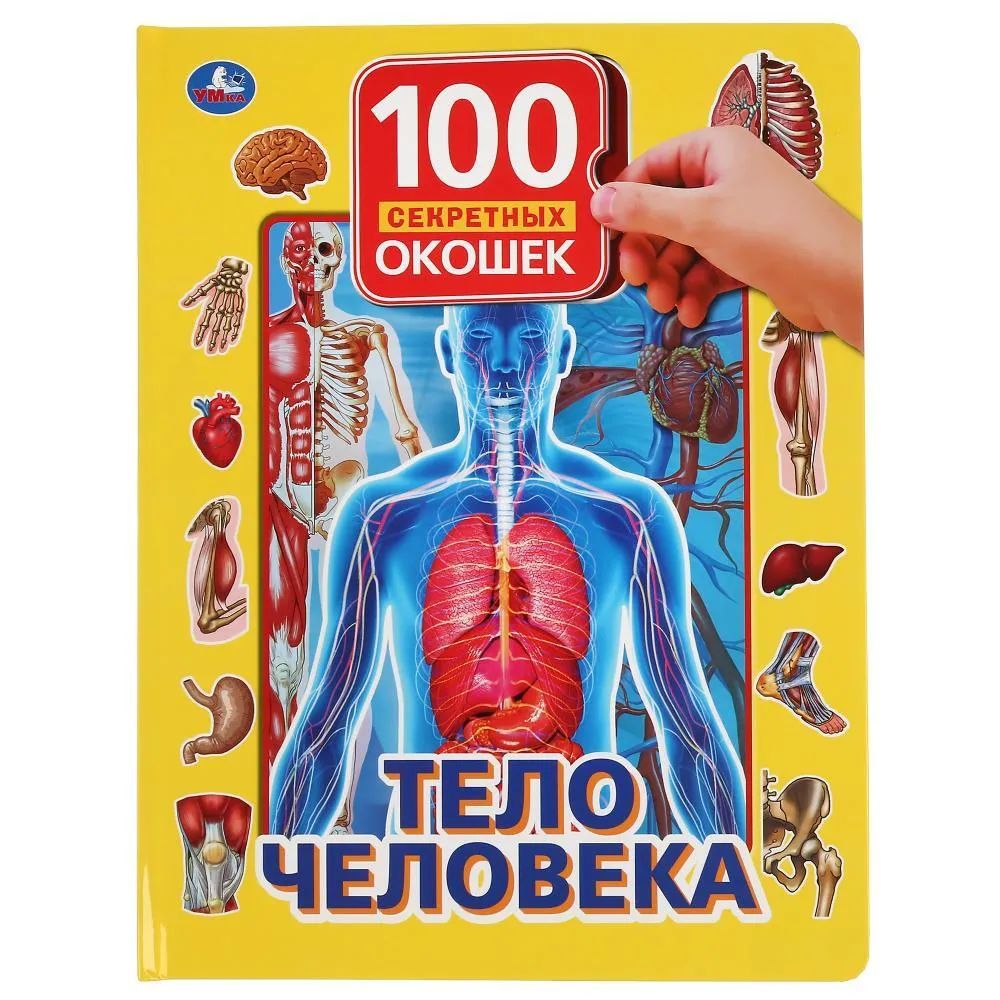 Könyv Тело человека. 100 секретных окошек 