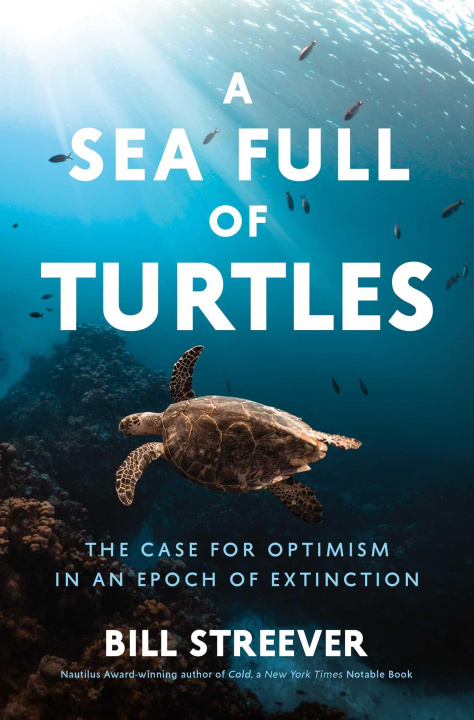 Kniha A Sea Full of Turtles: The Search for Optimism in an Epoch of Extinction 