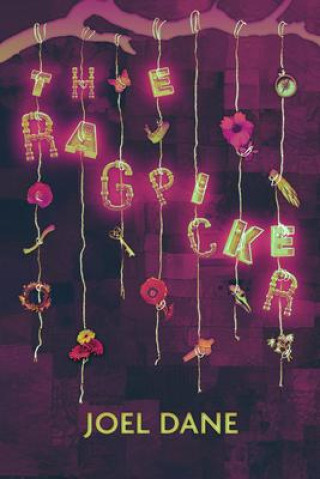 Book The Ragpicker Joel Dane