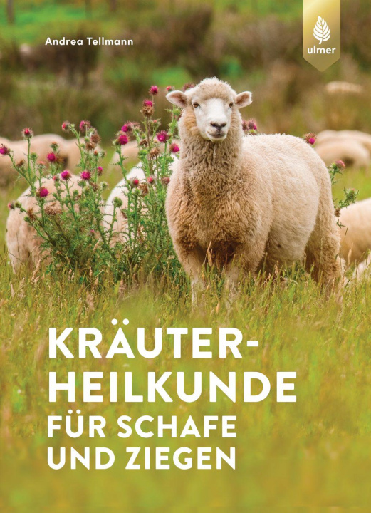 Kniha Kräuterheilkunde für Schafe und Ziegen 