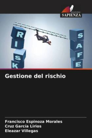 Book Gestione del rischio Cruz García Lirios