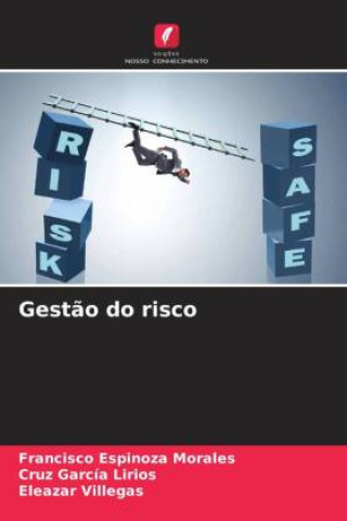 Buch Gest?o do risco Cruz García Lirios