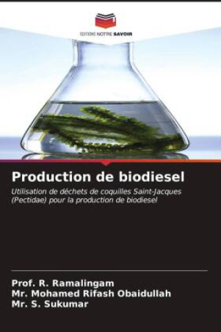 Boek Production de biodiesel Mohamed Rifash Obaidullah