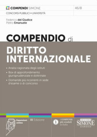 Kniha Compendio di diritto internazionale Federico Del Giudice