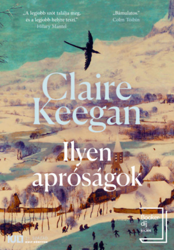 Kniha Ilyen apróságok Claire Keegan