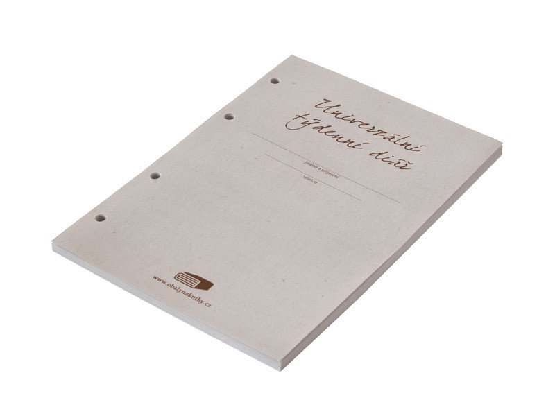 Buch Náhradní náplň Diář A6 