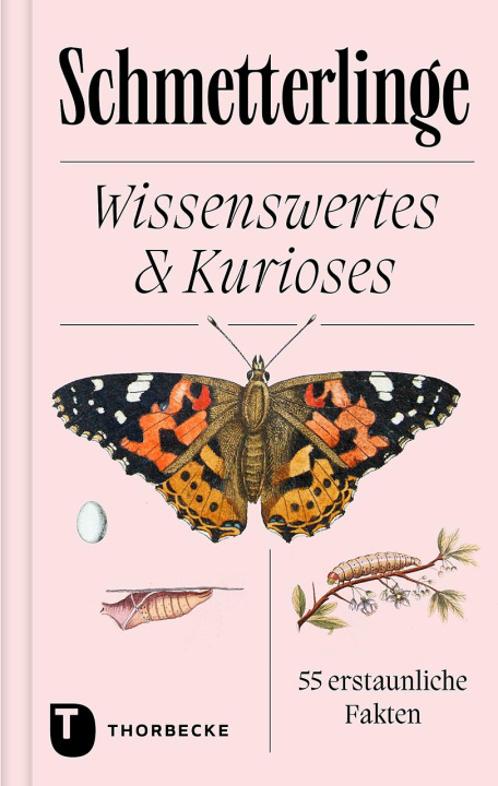 Kniha Schmetterlinge 