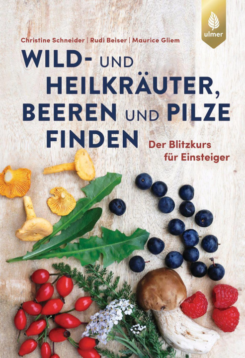 Kniha Wild- und Heilkräuter, Beeren und Pilze finden Rudi Beiser