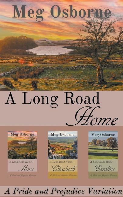Könyv A Long Road Home Meg Osborne
