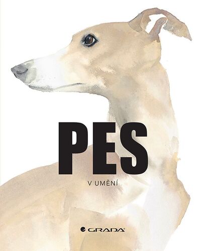 Book Pes v umění 