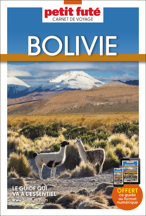 Kniha Bolivie 2024 Carnet Petit Futé Auzias d. / labourdette j. & alter