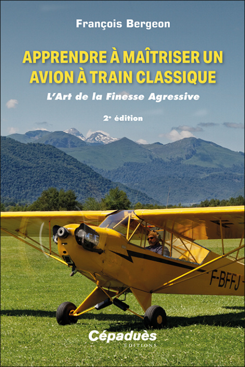 Kniha Apprendre à maîtriser un avion à train classique Bergeon