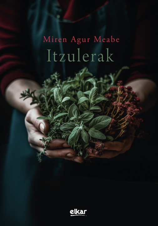Book ITZULERAK MEABE