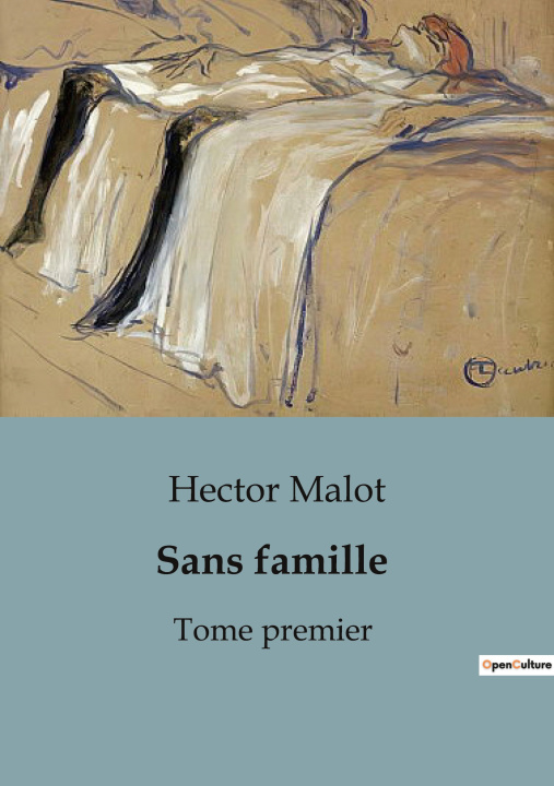 Boek SANS FAMILLE MALOT HECTOR