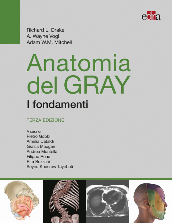 Libro Anatomia del Gray. I fondamenti Richard L. Drake