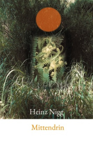Βιβλίο Mittendrin Heinz Nigg