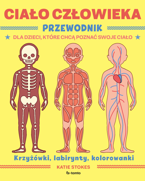 Kniha Ciało człowieka. Przewodnik dla dzieci, które chcą poznać swoje ciało wyd. 2023 Katie Stokes