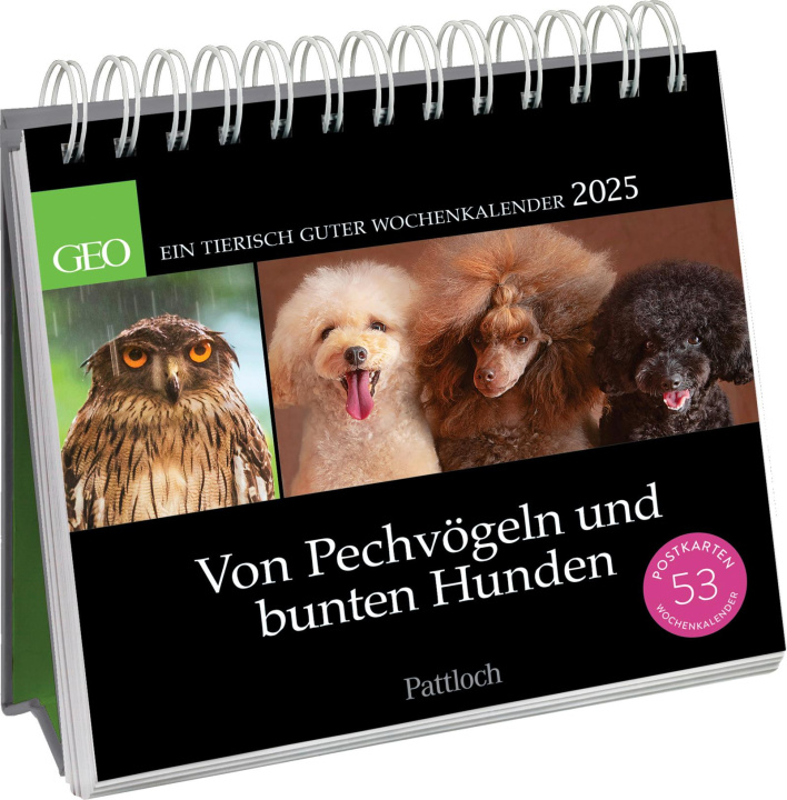 Kalendarz/Pamiętnik Von Pechvögeln und bunten Hunden 2025 