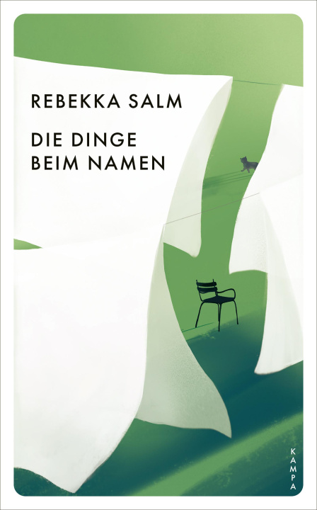 Buch Die Dinge beim Namen Rebekka Salm