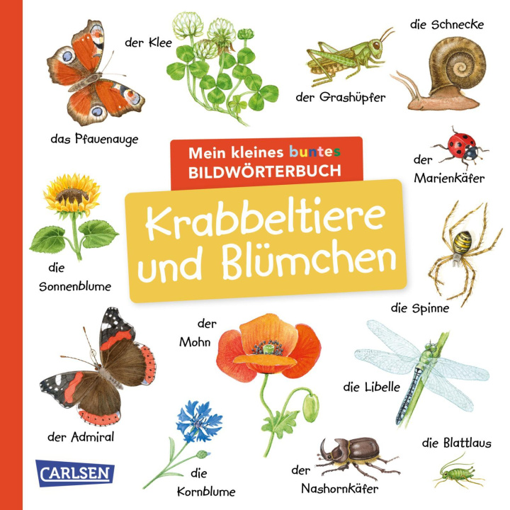 Könyv Mein kleines buntes Bildwörterbuch: Krabbeltiere und Blümchen 