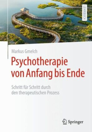 Kniha Psychotherapie von Anfang bis Ende 