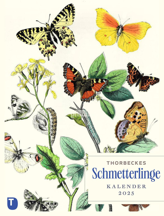 Календар/тефтер Thorbeckes Schmetterlinge-Kalender 2025 