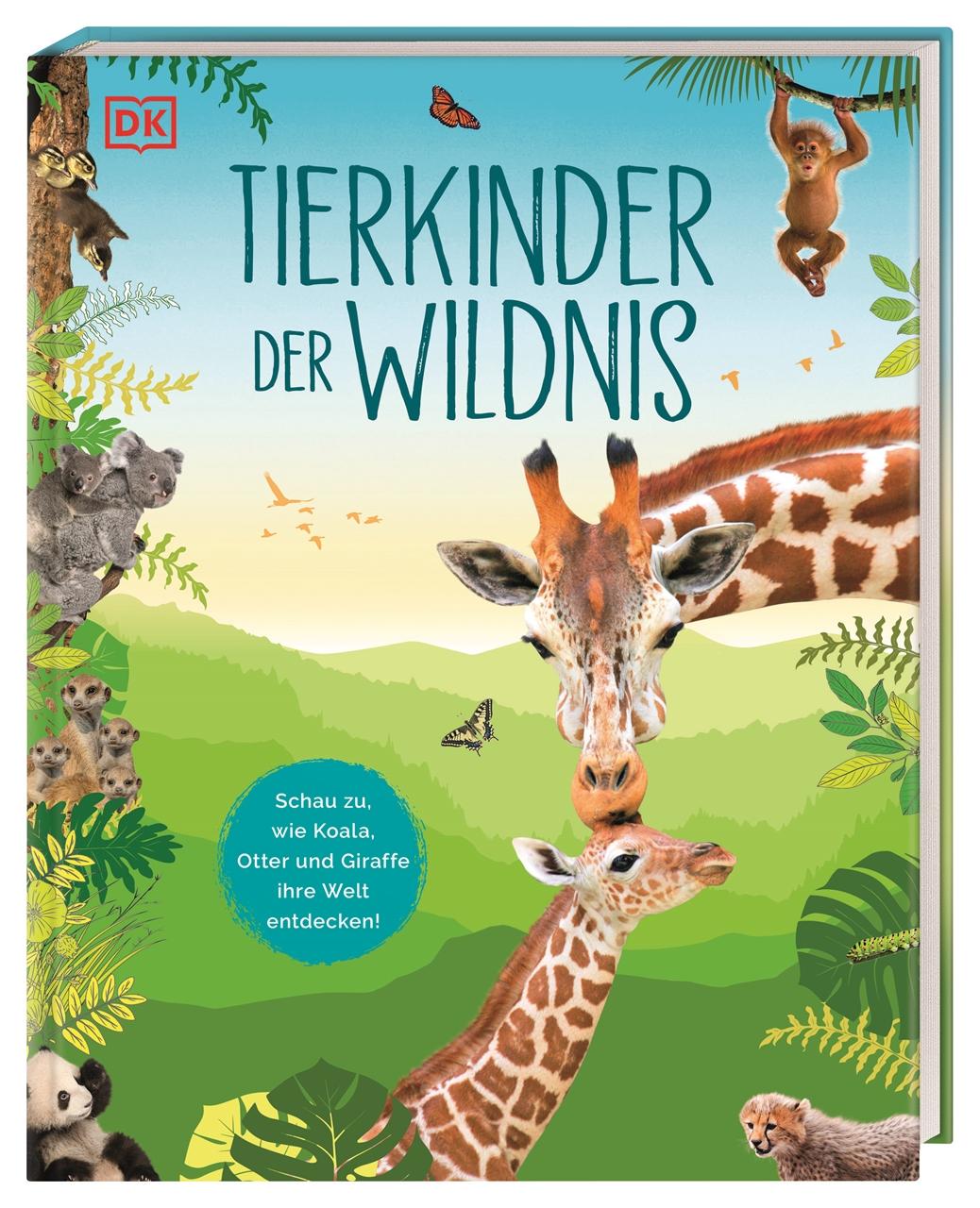 Kniha Tierkinder der Wildnis Manuela Held