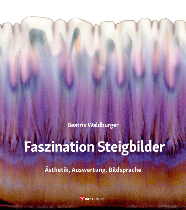 Kniha Faszination Steigbilder 