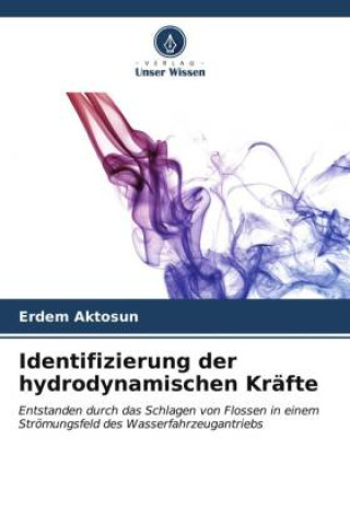 Книга Identifizierung der hydrodynamischen Kräfte 