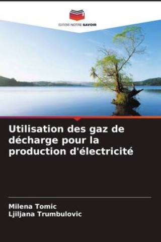 Книга Utilisation des gaz de décharge pour la production d'électricité Ljiljana Trumbulovic