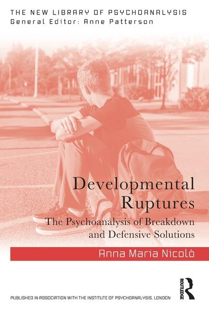 Knjiga Developmental Ruptures Anna Maria Nicolo