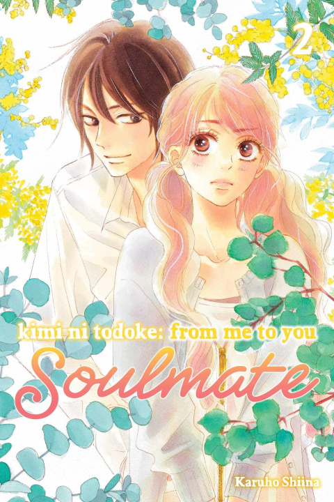 Könyv Kimi ni Todoke: From Me to You: Soulmate, Vol. 2 Karuho Shiina