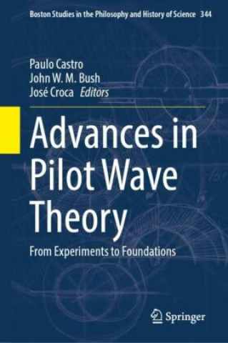 Kniha Advances in Pilot Wave Theory Paulo Castro