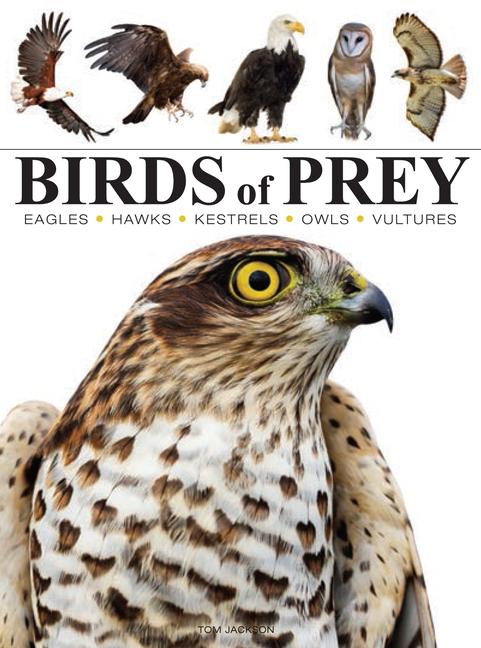 Książka BIRDS OF PREY JACKSON TOM