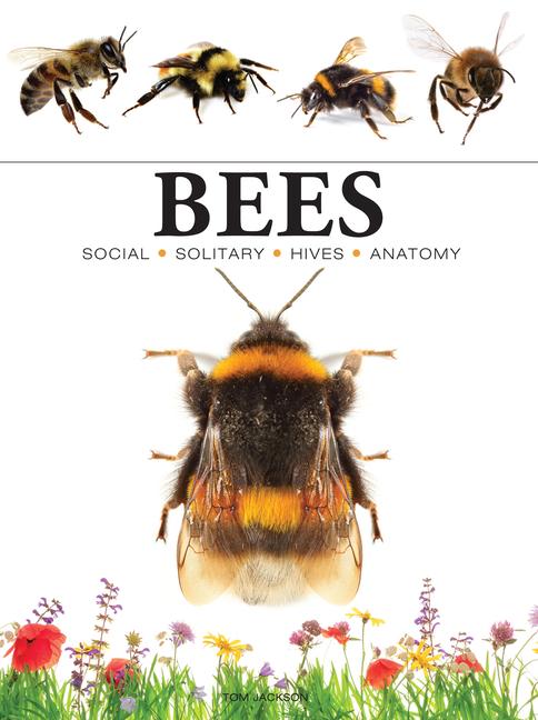 Könyv BEES JACKSON TOM