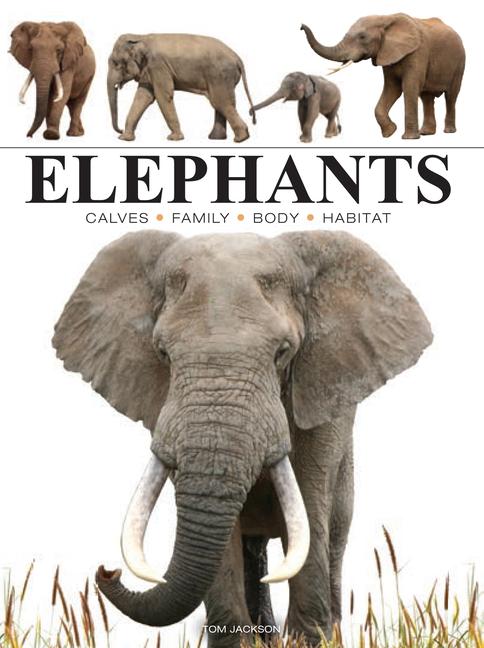 Book ELEPHANTS JACKSON TOM