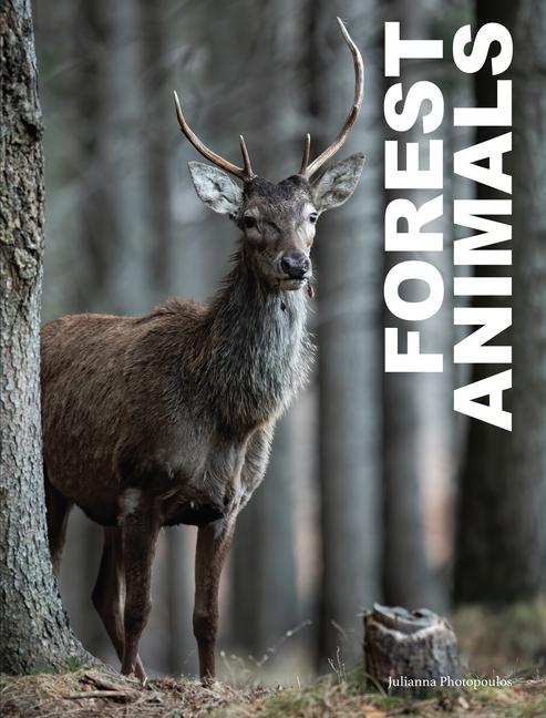 Knjiga FOREST ANIMALS PHOTOPOULOS JULIANNA