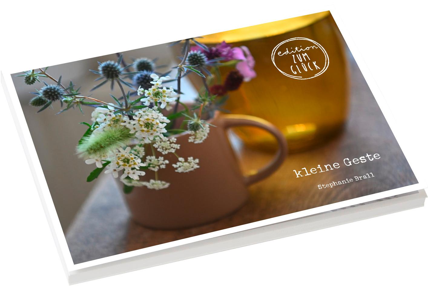 Livro kleine Geste - Postkartenbuch Stephanie Brall